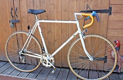 Vintage 1985 Large Men’s Raleigh Bsa Road Racing Bike – Second Hand ...