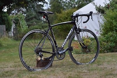 raleigh revenio 1