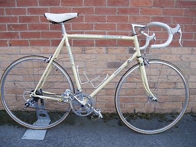 vintage tri bike