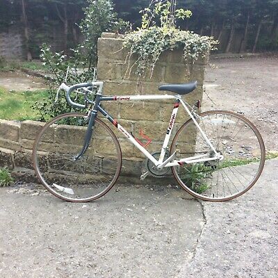 raleigh equipe 1980s