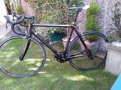 focus cayo carbon tiagra