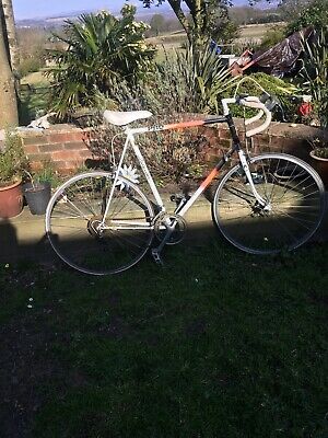 raleigh equipe 1980s