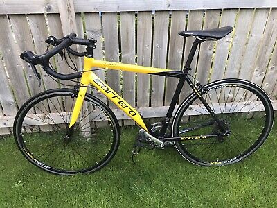 carrera gryphon limited edition