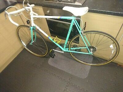raleigh equipe 1980s