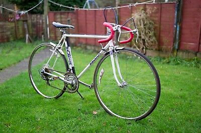 Decalcomanie Bici Vintage Set Adesivi Vintage Raleigh Per - Foto 5