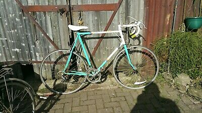 raleigh equipe 1980s