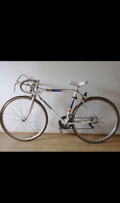 raleigh flyer racer