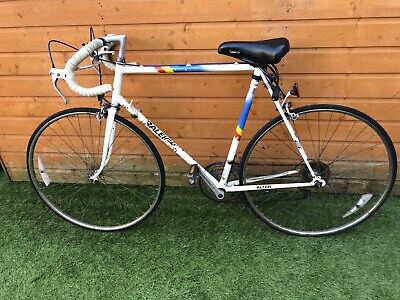raleigh flyer racer